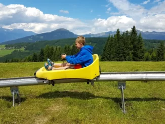 Mieders Alpine Coaster ride.